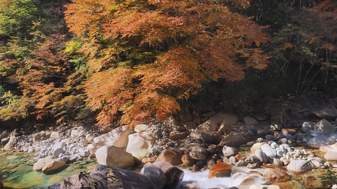 ★阿寺渓谷の紅葉🍁🍂🌿③ 2023
