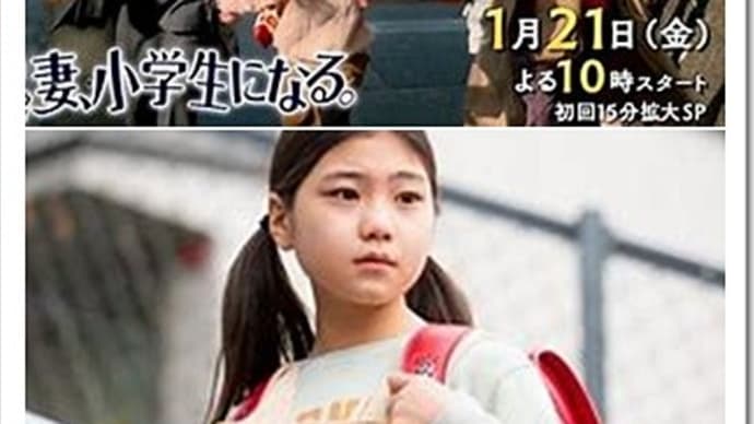 テレビドラマ 妻、小学生になる