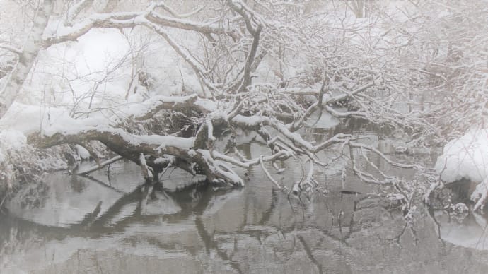 雪、冬の水鏡