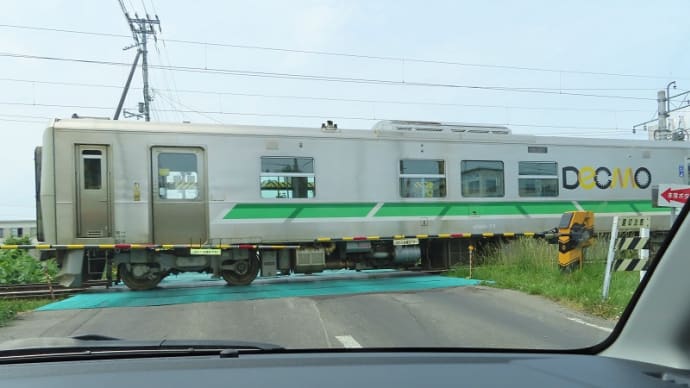 久しぶりに踏切で電車見ました🚉