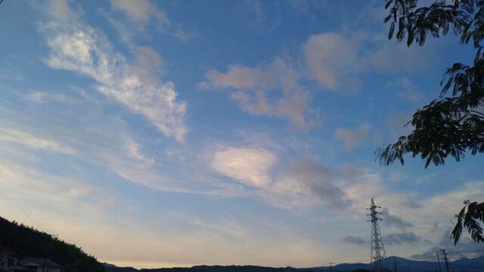 天城の山と花の空