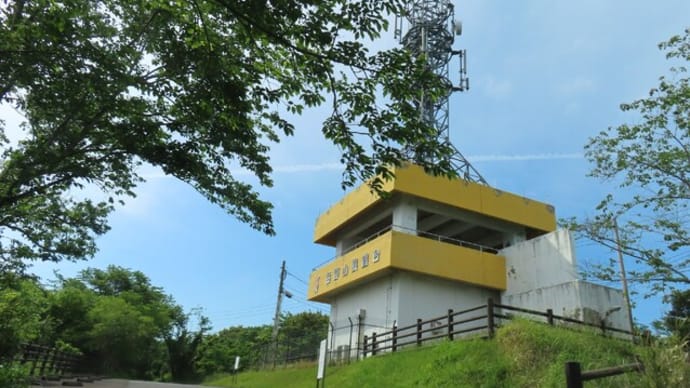 志布志市・岳野山展望台と今日の庭
