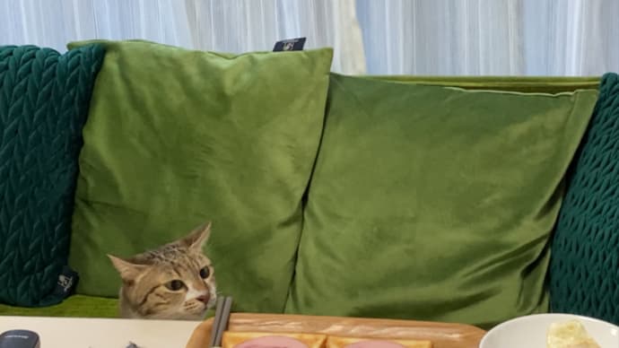 我思う、故に我あり