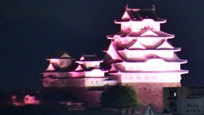 今日の姫路城 ピンク色 (2019.10.1)