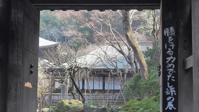 早春の鎌倉、瑞泉寺