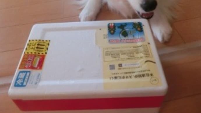 ふるさと納税の返礼品(北海道利尻町) 届きました