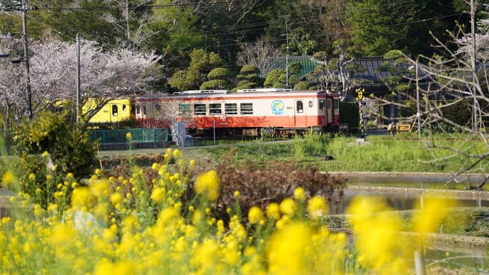 いすみ鉄道、ポッポの丘(その6)大多喜から大原、東京へ。