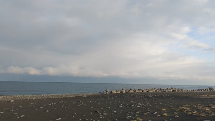 凪ですが、魚の気配無し