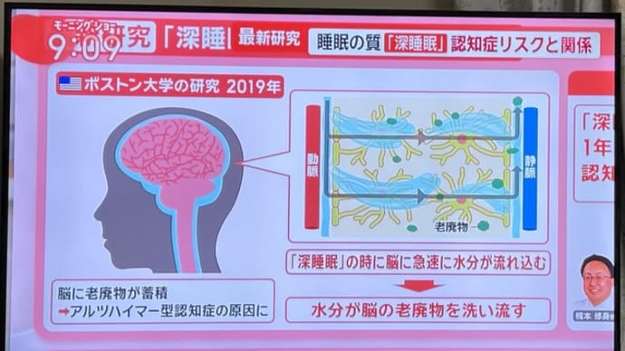 今日は世界睡眠デーだとか