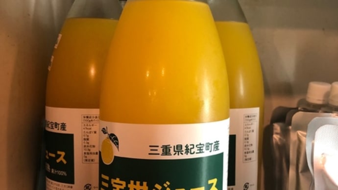 三宝柑ジュース、入荷しました