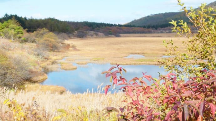 秋の八ヶ岳西麓から霧ヶ峰周遊は・・・八島湿原で・・・オワリ