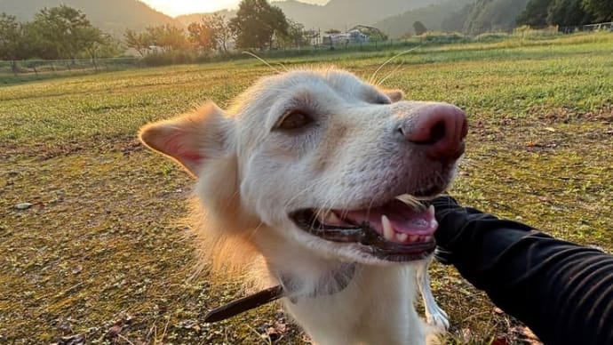 今日も元気に朝日が昇る！