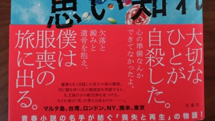 「世界の美しさを思い知れ」額賀澪さんを読んでの感想