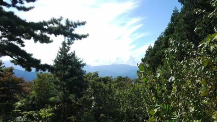 2024年10月11日(金)の「高尾山・紅葉台・一丁平・小仏城山」(9)