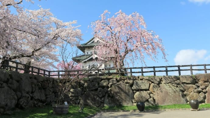 2021年みちのく桜前線の旅･･･日本さくら名所100選「弘前公園」