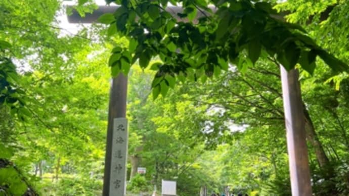 【札幌】札幌散策 北海道道庁赤レンガ~北海道神宮~テレビ塔~ススキノ交差点