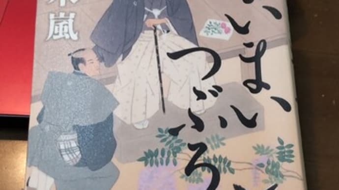 まいまいつぶろ