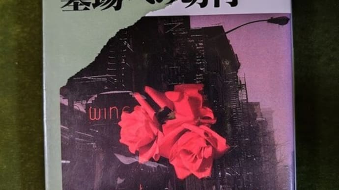 映画鑑賞、散歩、寄り道の合間の読書📚⌛🎦👣⌛