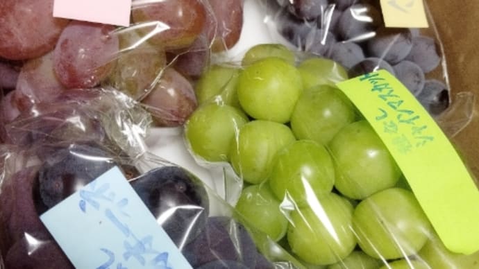 ◇◇◇ 見事なぶどう🍇
