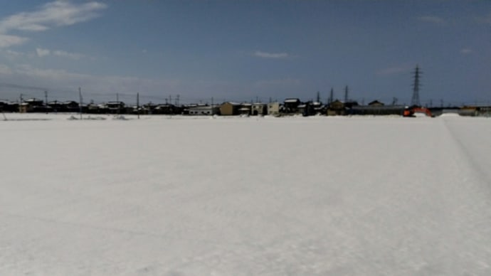 暖かく晴れた土曜日