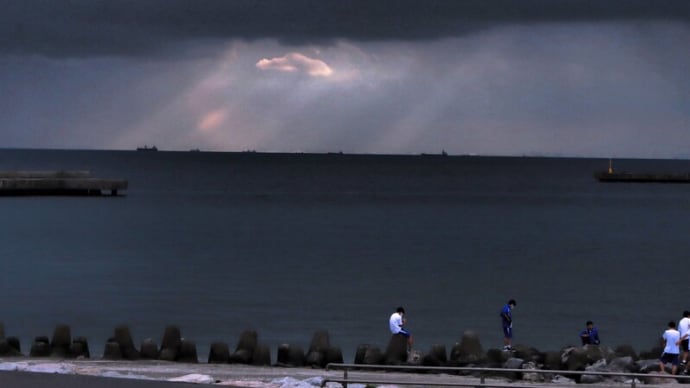 昨日見た雲とバラの開花