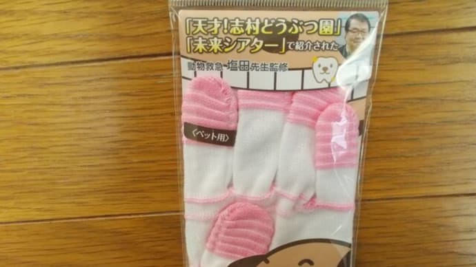 ゴメンなお土産…。