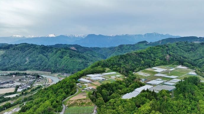 草尾上野ぶどう畑上空からの風景&孫の誕生会
