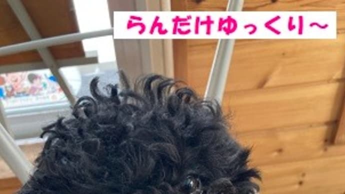 堅実に
