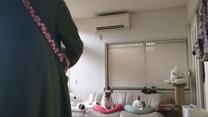 お出かけ用事が多かった週