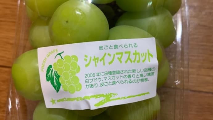 小さなシャインマスカット🍇(*^^*ゞ