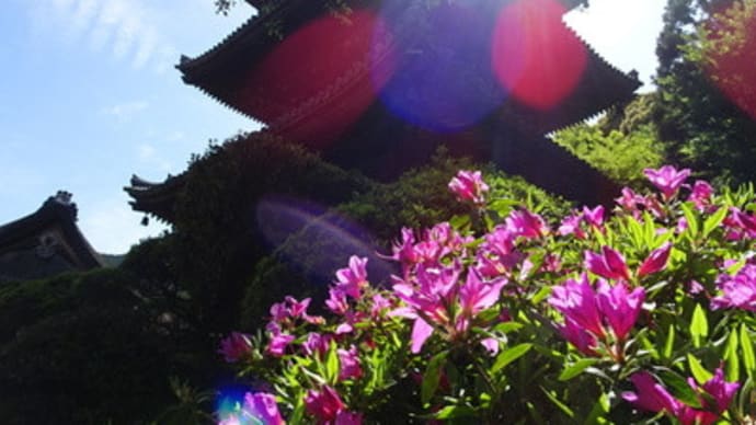 三井寺の秘仏と新緑と『るろ剣』聖地　＠　京都妖怪探訪（７４１）