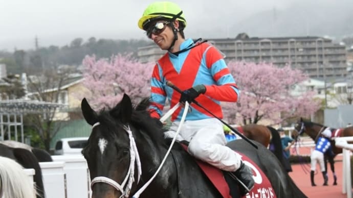 阪神大賞典2022がんばれーディープポンド×和田竜二騎手