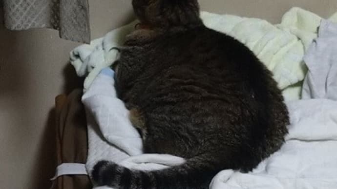 大工さん不足