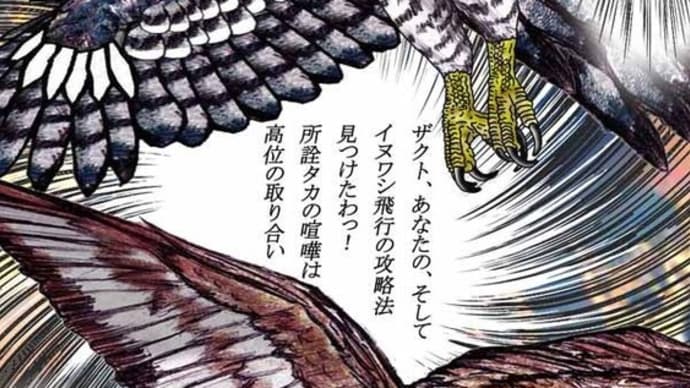 161章 イヌワシ飛行の攻略法見つけたわ!! 所詮タカの喧嘩は高位の取り合い!!