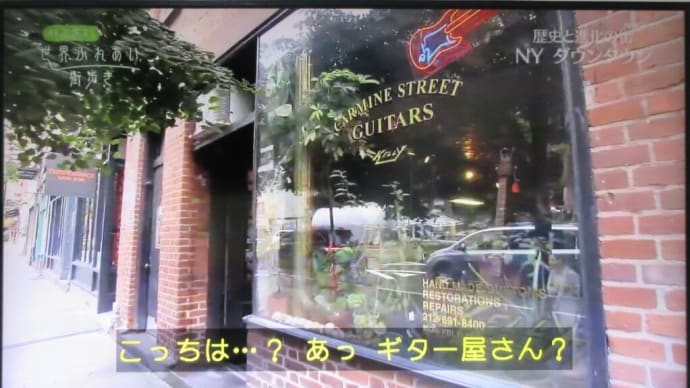 BS-TV世界ふれあい街歩き　NYﾀﾞｳﾝﾀｳﾝ　/　ｶｰﾏｲﾝ・ｽﾄﾘｰﾄ・ｷﾞﾀｰ　1994