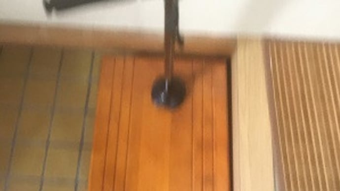 今日からライオンズゲートが開く!~何となくスピリチュアル~