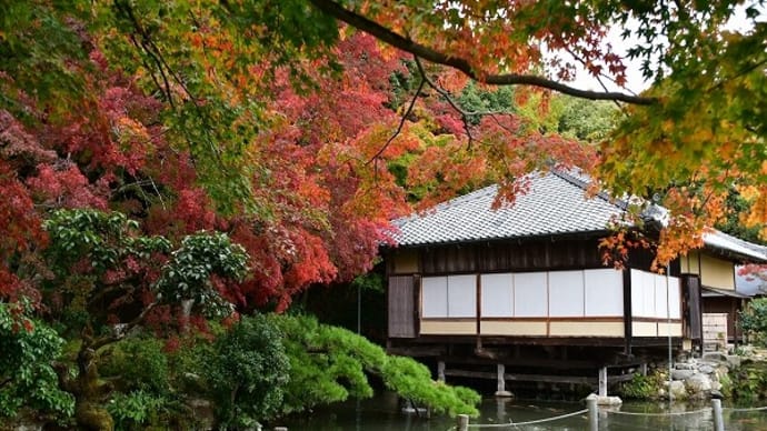 龍野公園紅葉谷 紅葉 ’18