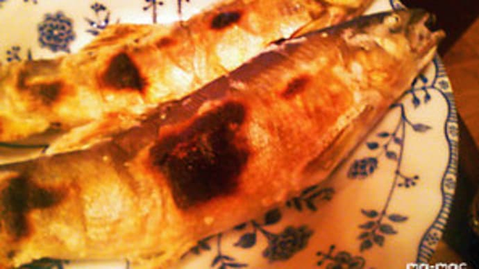 鮎の塩焼きを~!