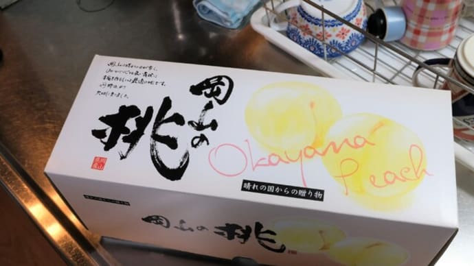 『岡山果物工房』に予約していた岡山白桃キング秀品中玉3ケが到着。“水蜜が桃の形をしてとどまっている”感覚を楽しみました!