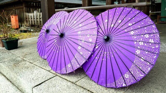 janome umbrella☆吉野神宮・奈良県