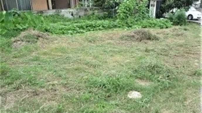 暑い中を畑の草刈りをやった