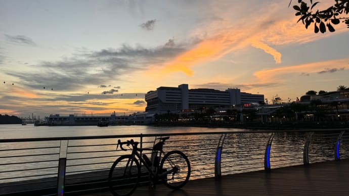 Mount FaberからSentosa Broard Walkへ。
