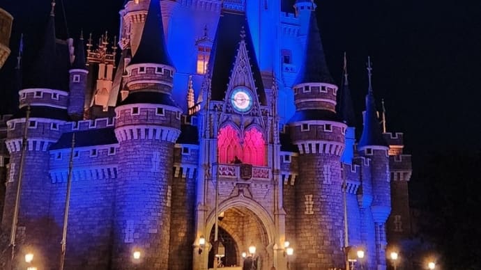 コロナ開け初ディズニー🏰