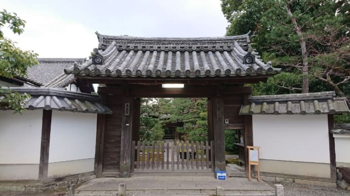 大雄院に参拝@妙心寺塔中