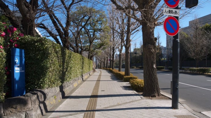 1月の霞が関:参議院通用門交差点~憲政記念館前~三宅坂交差点まで PART1