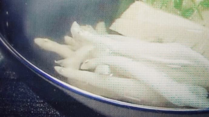 白魚の吸い物。子ら巣立だち、老夫婦の晩年/「春雨の夜」 永井荷風