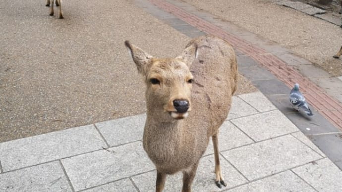 お疲れ様でした