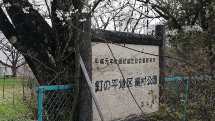 なにかイイことが起こるかも