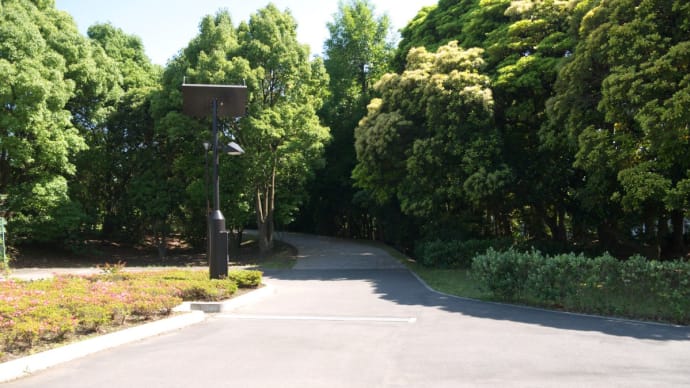 6月の辰巳の森海浜公園:遊具広場前を通り抜けて海浜公園正門入口前へ PART1