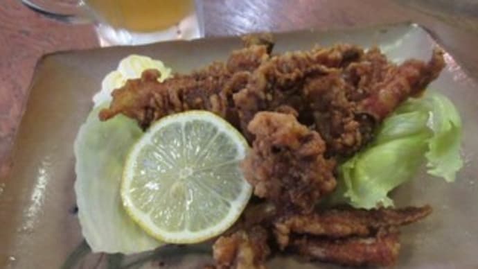 「「海幸(かいこう)」で晩酌。ロース豆腐巻揚定食、アジの野菜あんかけ定食、ゲソ唐揚げ